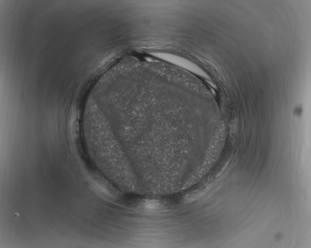 X0000116870264201001121308