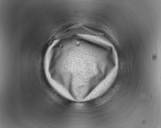 X0000116870265201001121308