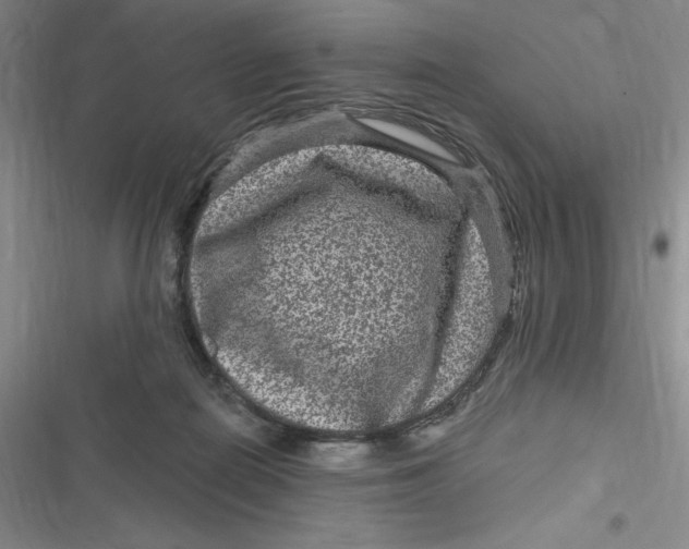 X0000116870266201001121308