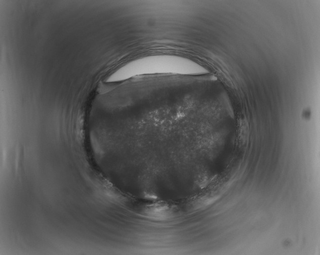 X0000116870267201001121308