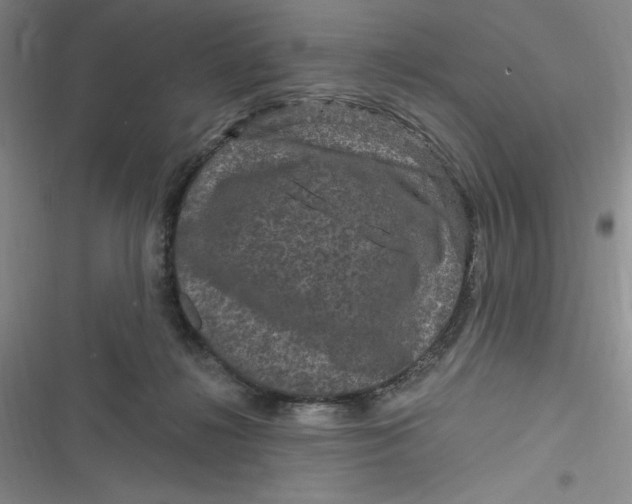 X0000116870268201001121308