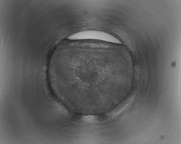 X0000116870269201001121308