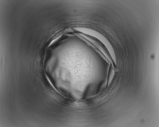 X0000116870270201001121308