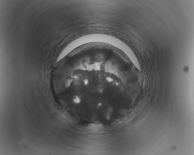 X0000116870271201001121308