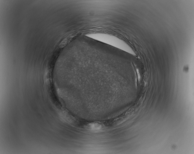 X0000116870272201001121308