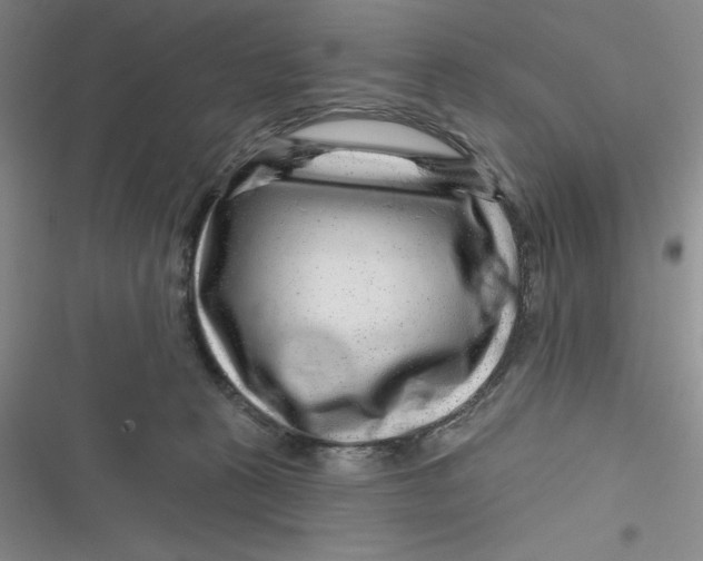 X0000116870273201001121308