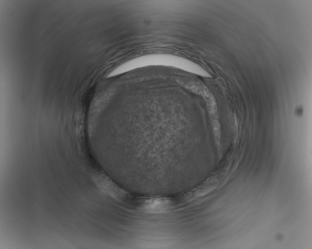 X0000116870274201001121308