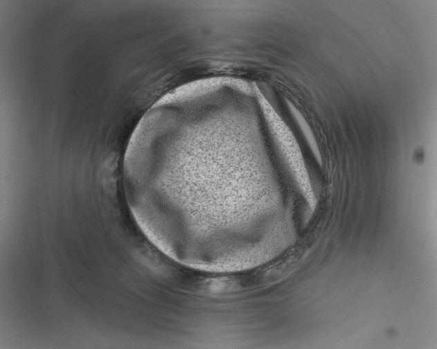 X0000116870275201001121308