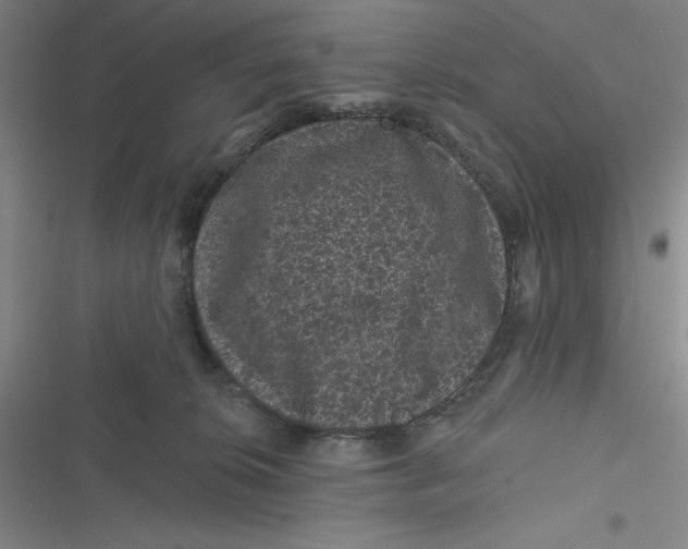 X0000116870276201001121308