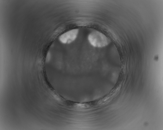 X0000116870277201001121308