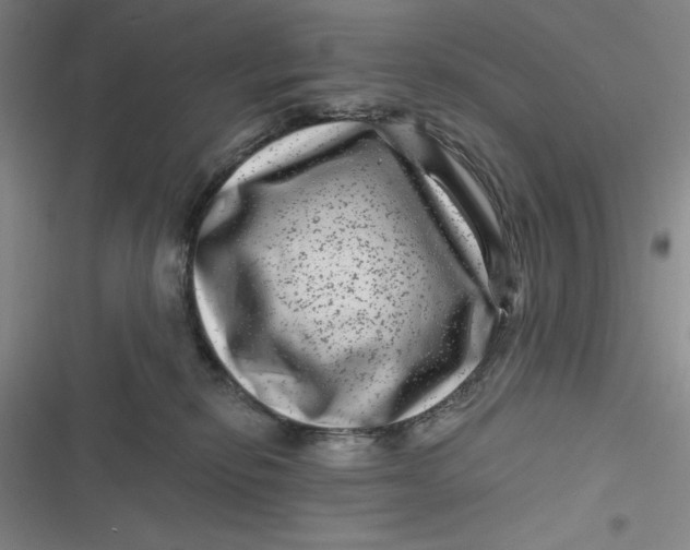 X0000116870278201001121308