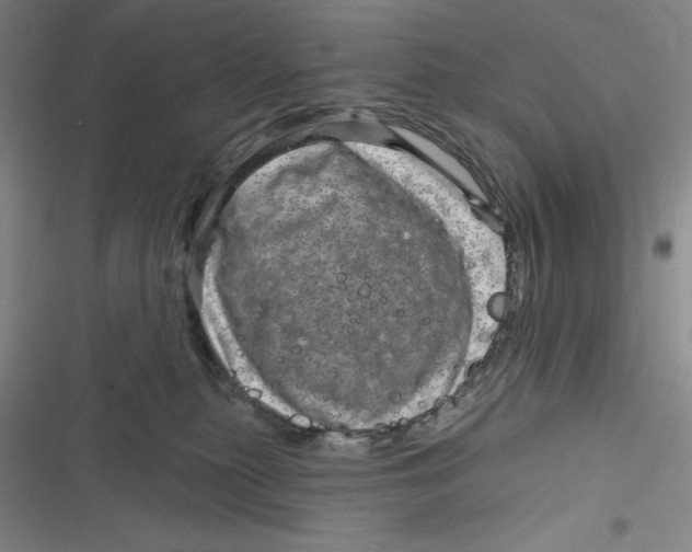 X0000116870279201001121308