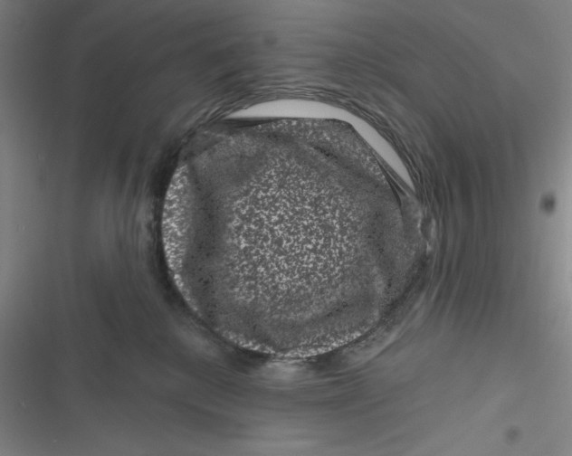 X0000116870280201001121308