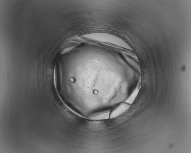 X0000116870281201001121308