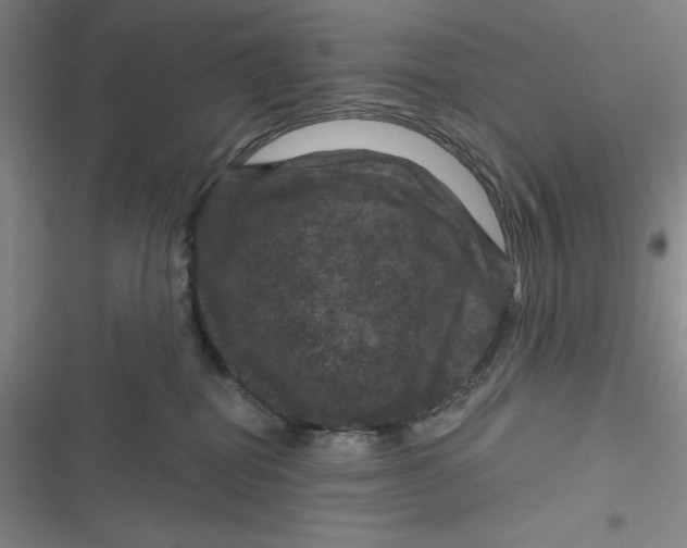 X0000116870282201001121308