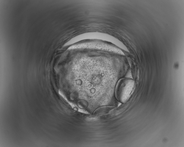 X0000116870283201001121308