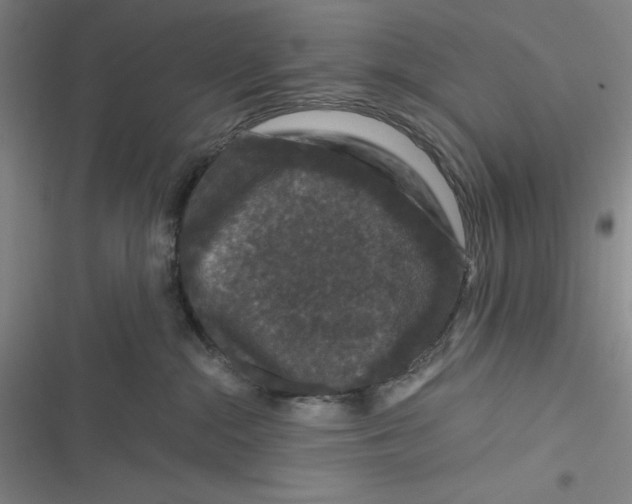 X0000116870284201001121308