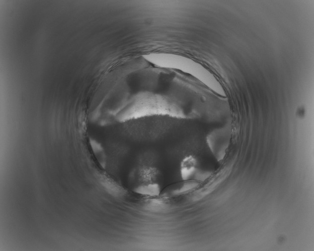 X0000116870285201001121308