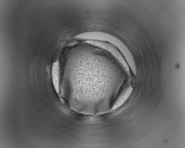 X0000116870286201001121308