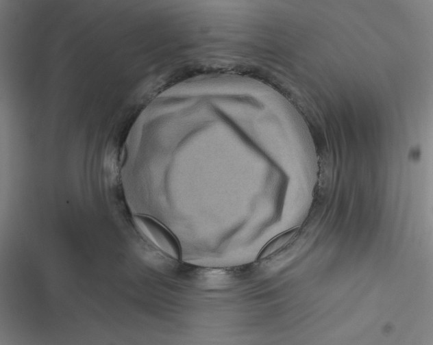 X0000116870287201001121308