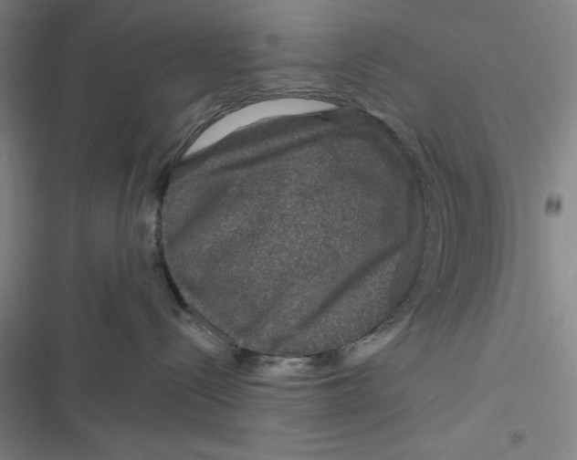 X0000116870288201001121308