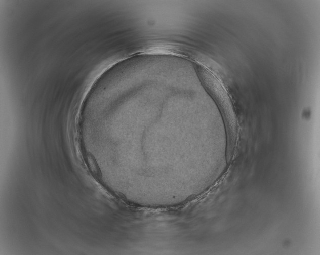 X0000116870289201001121307