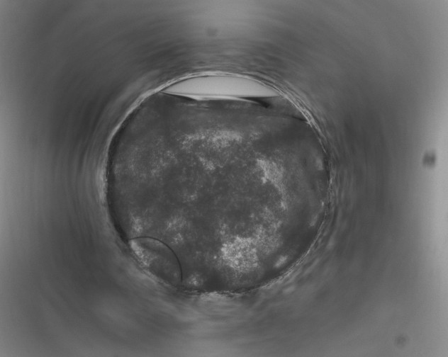 X0000116870290201001121307