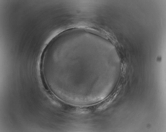 X0000116870292201001121307