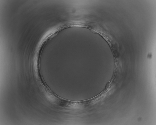 X0000116870293201001121307