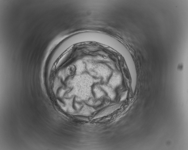 X0000116870294201001121307