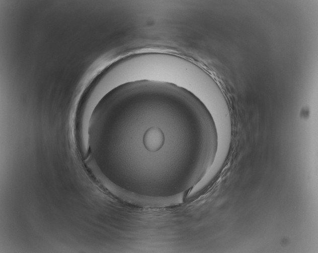 X0000116870296201001121307