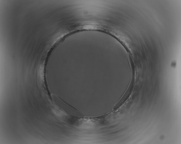 X0000116870297201001121307