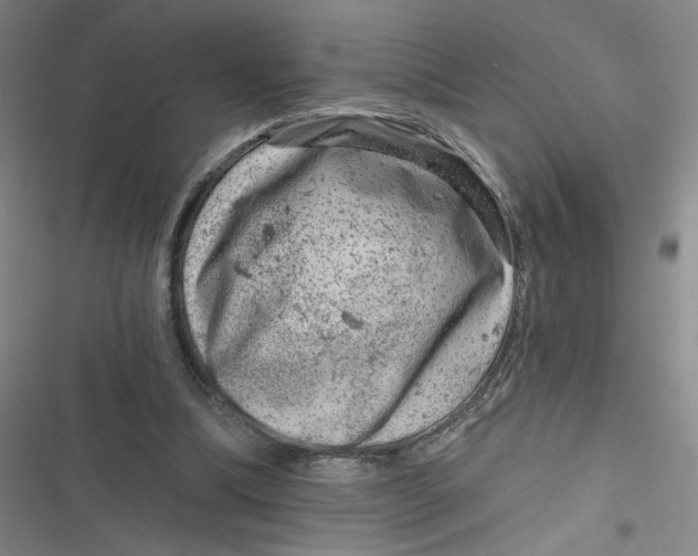 X0000116870298201001121307