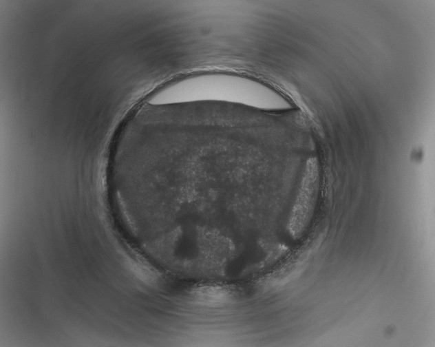 X0000116870299201001121307