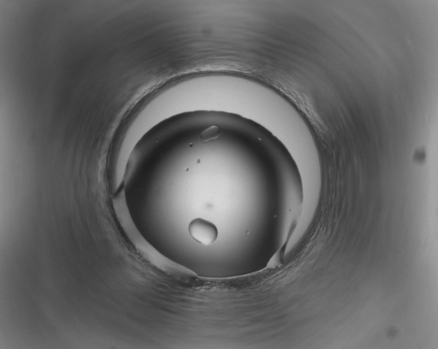 X0000116870300201001121307