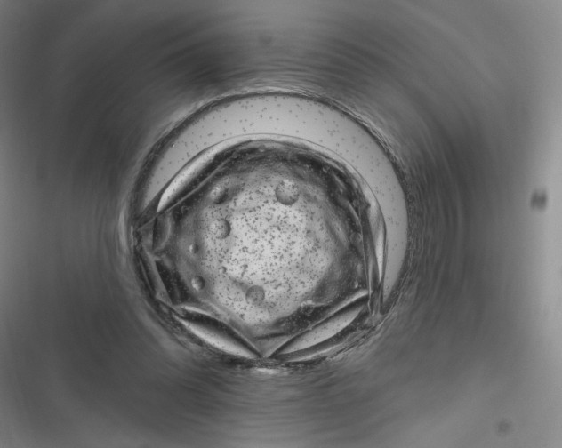 X0000116870302201001121307