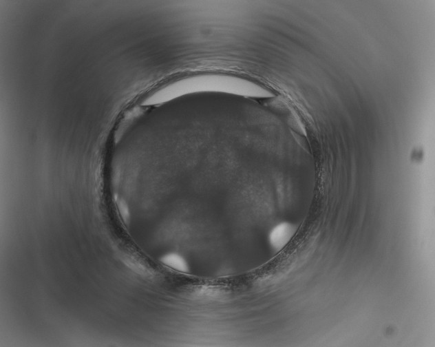 X0000116870303201001121307