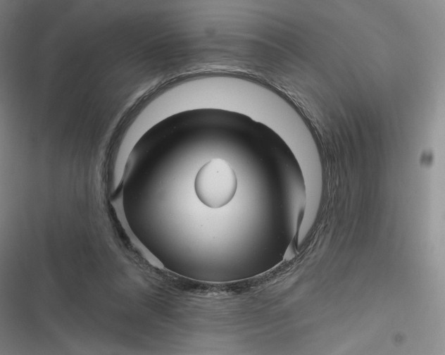 X0000116870304201001121307