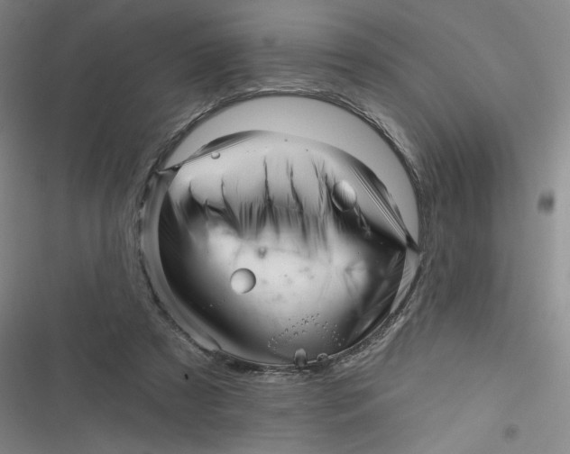 X0000116870305201001121307