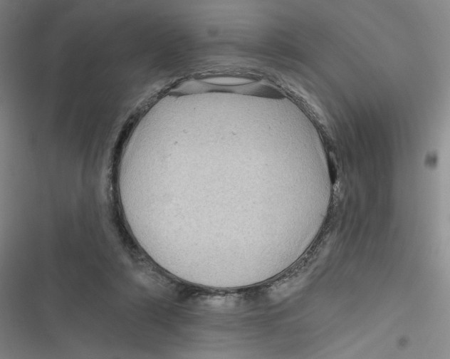 X0000116870306201001121307