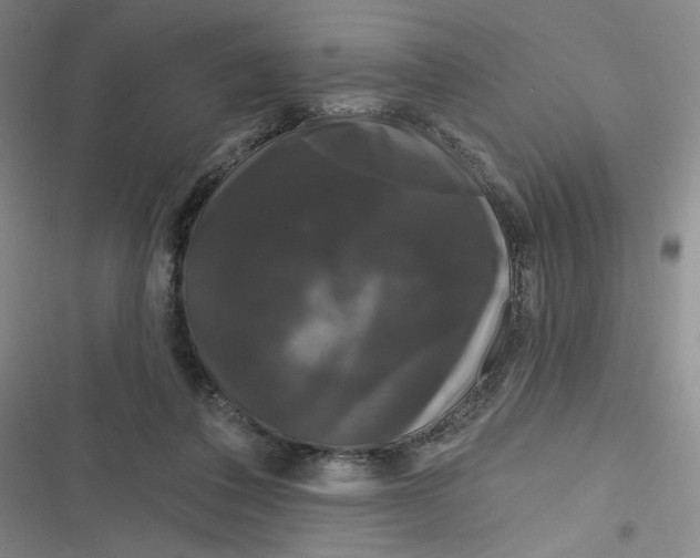 X0000116870308201001121307