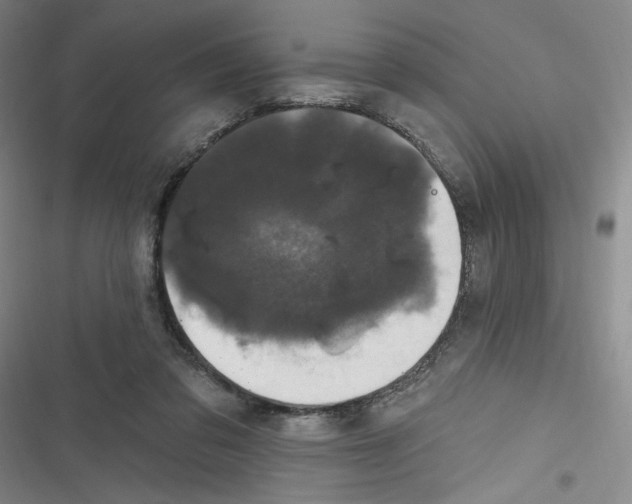 X0000116870309201001121307