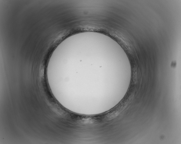 X0000116870310201001121307