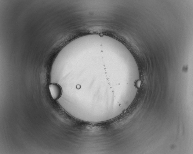 X0000116870311201001121307