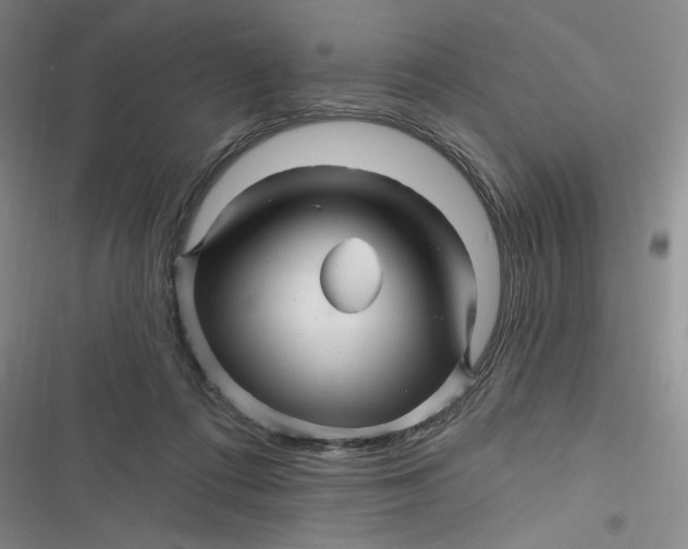 X0000116870312201001121307