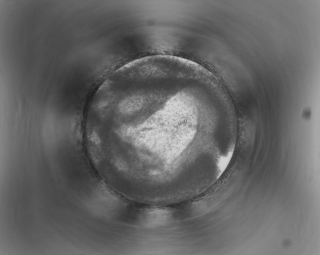 X0000116870313201001121307