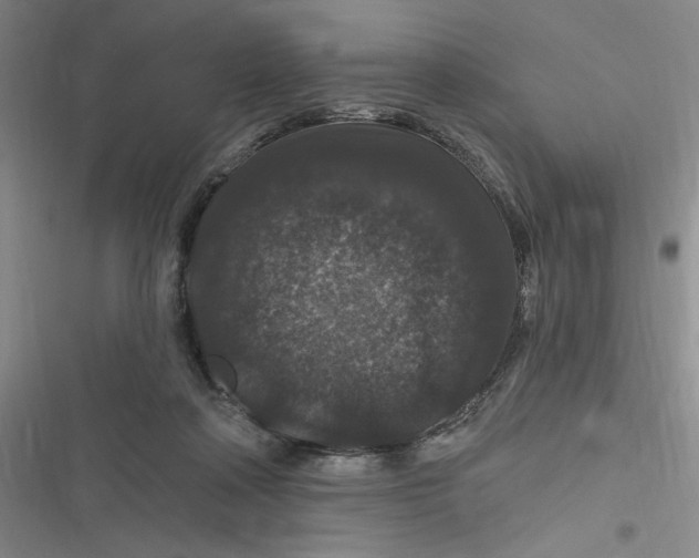 X0000116870314201001121307