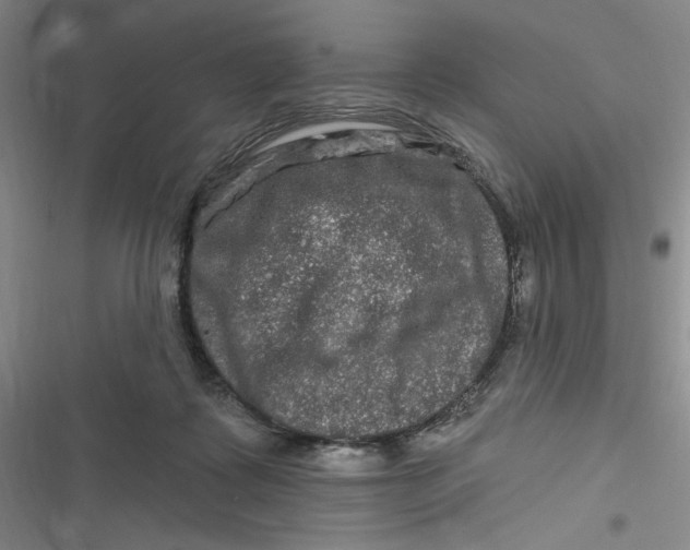 X0000116870315201001121307