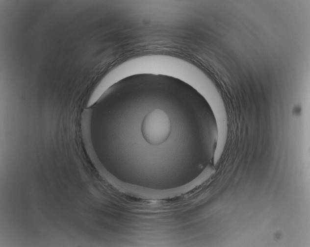 X0000116870316201001121307