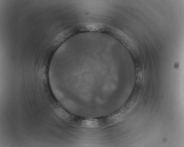 X0000116870317201001121307